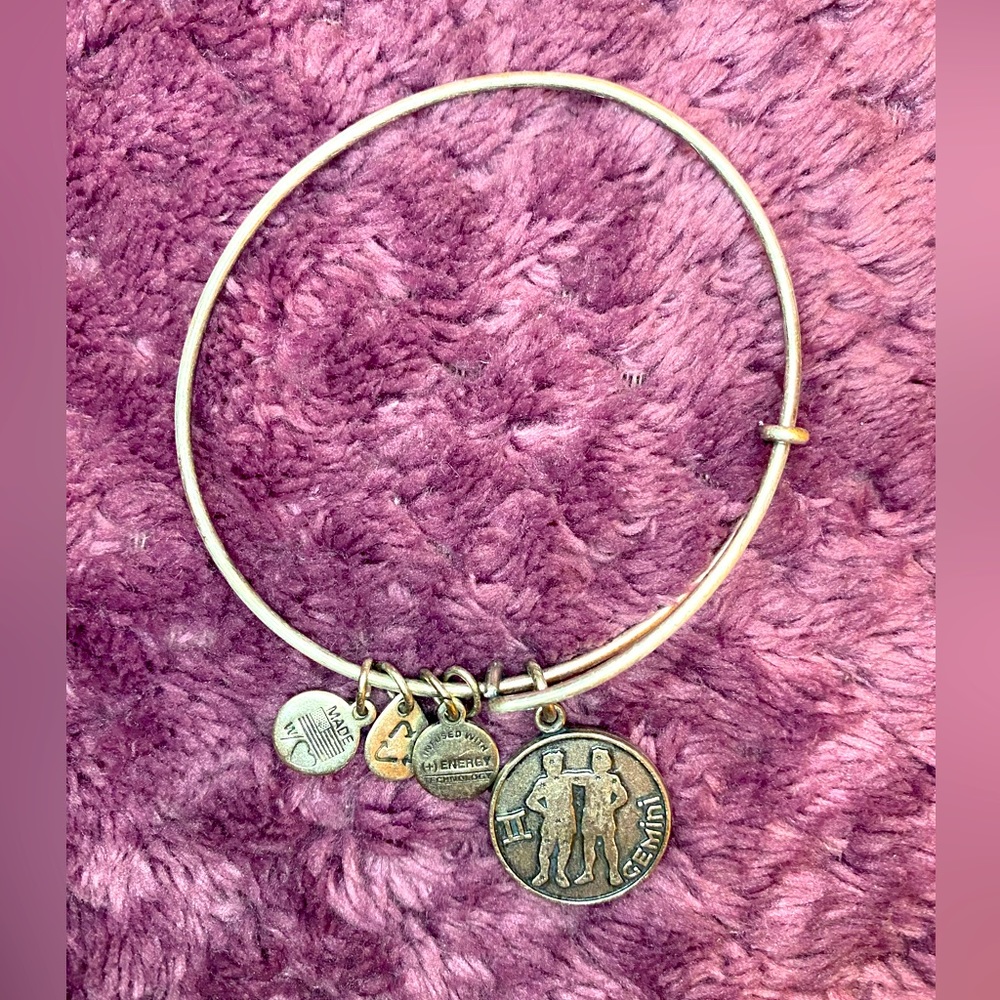 ♊️ Alex and Ani Silver Gemini Bangle Bracelet